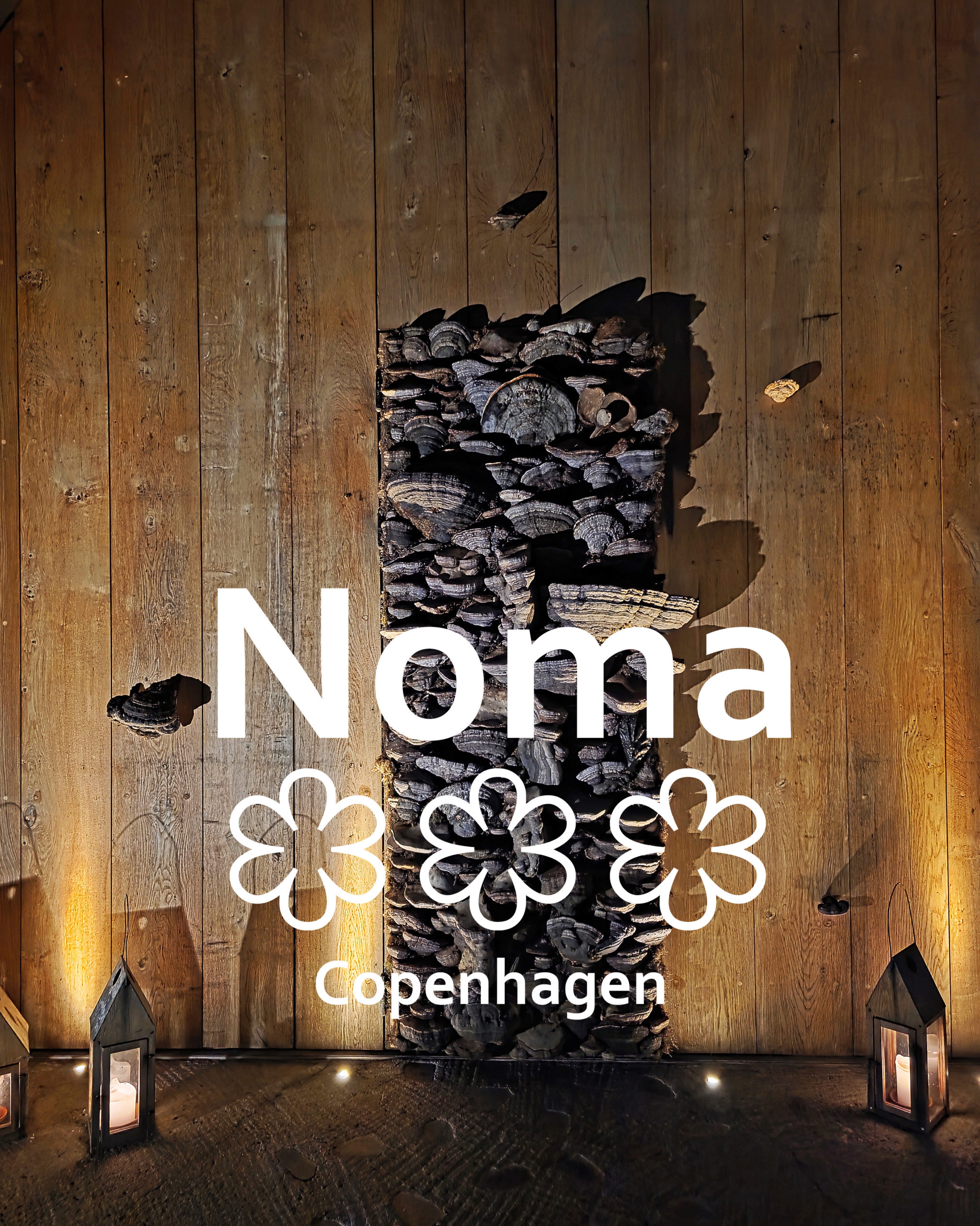 Restauracja noma (Kopenhaga)